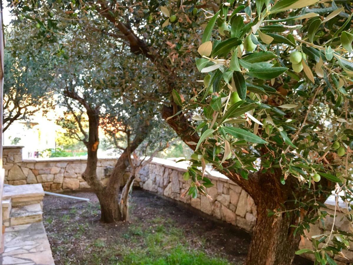 شقة Lavender House ماسلينتسا المظهر الخارجي الصورة